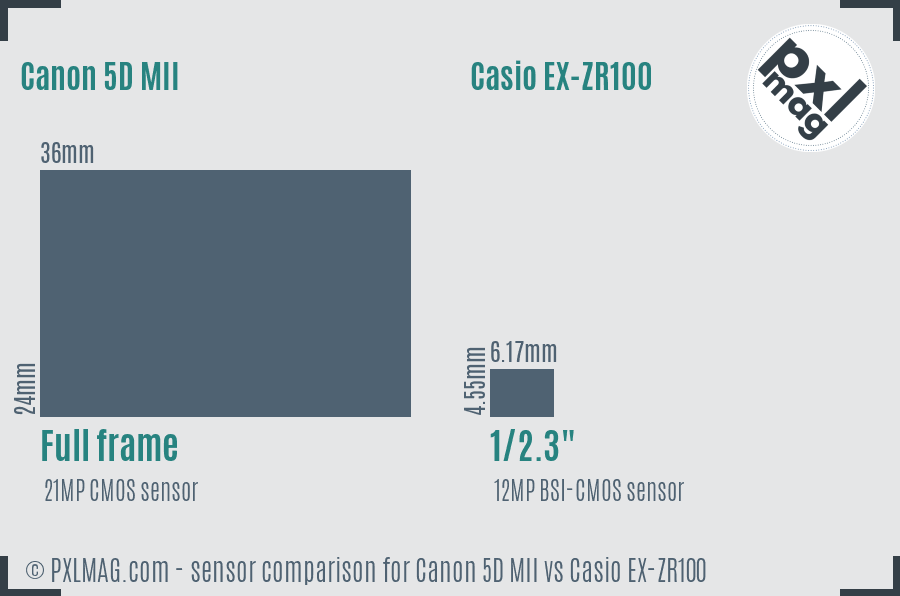 Canon 5D MII vs Casio EX-ZR100 sensor size comparison