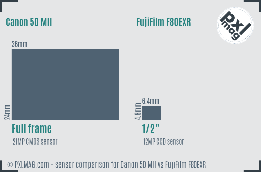 Canon 5D MII vs FujiFilm F80EXR sensor size comparison