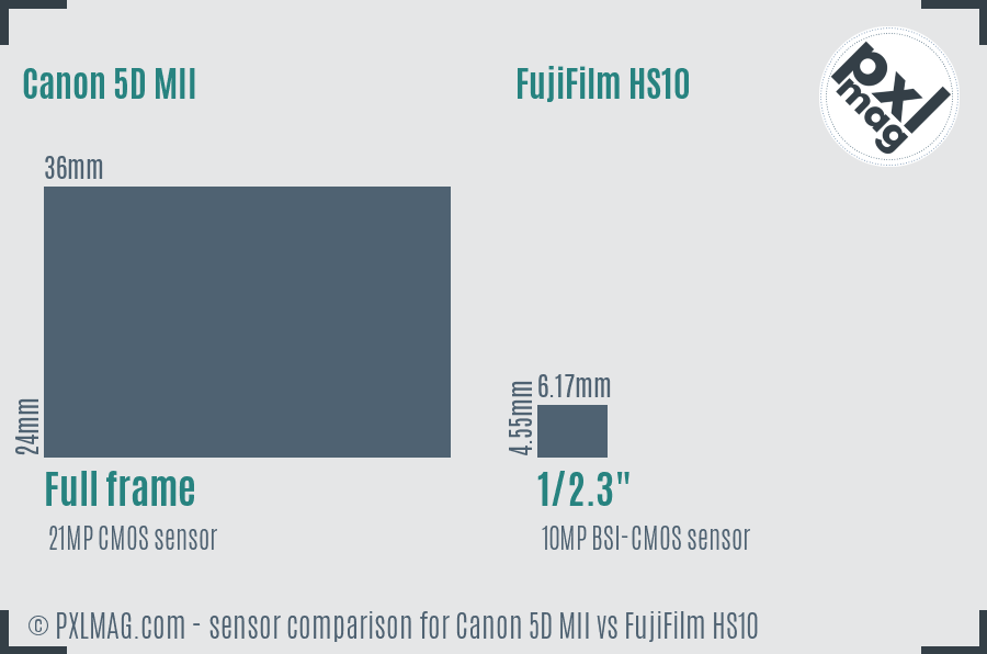 Canon 5D MII vs FujiFilm HS10 sensor size comparison