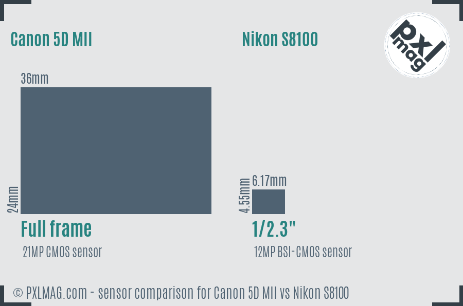 Canon 5D MII vs Nikon S8100 sensor size comparison