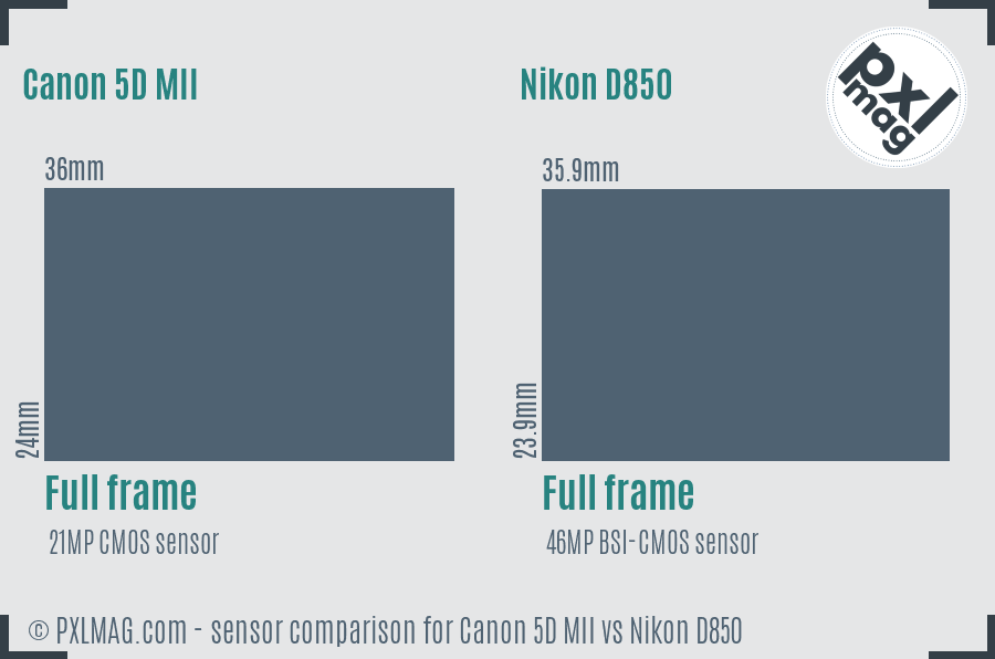Canon 5D MII vs Nikon D850 sensor size comparison
