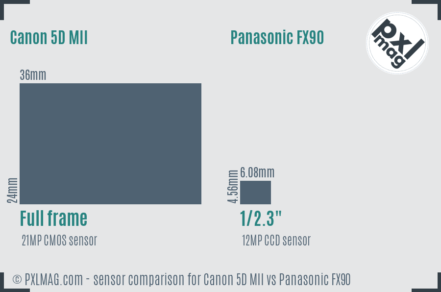 Canon 5D MII vs Panasonic FX90 sensor size comparison