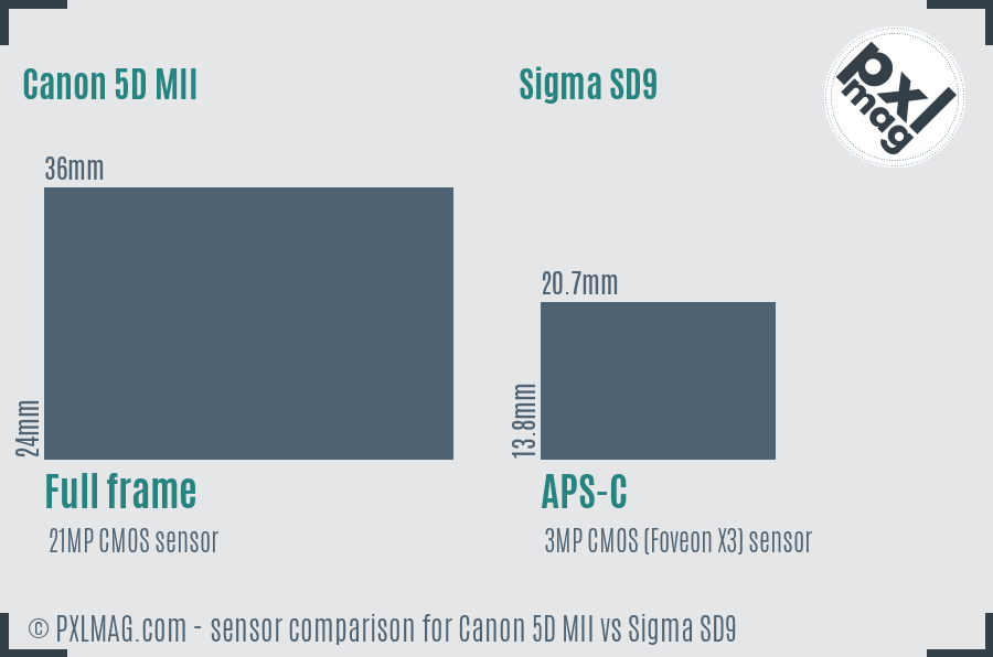 Canon 5D MII vs Sigma SD9 sensor size comparison