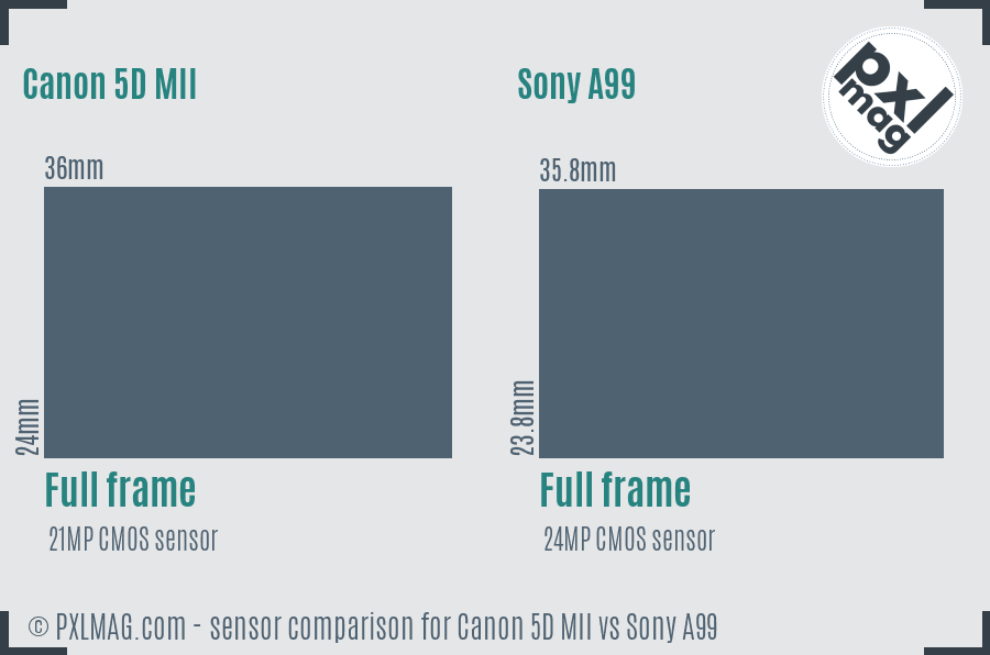 Canon 5D MII vs Sony A99 sensor size comparison