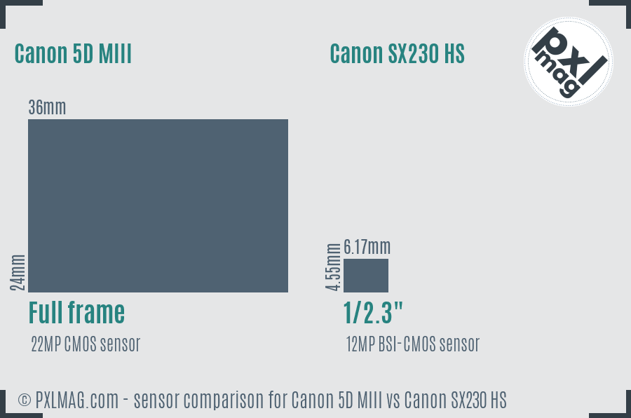 Canon 5D MIII vs Canon SX230 HS sensor size comparison
