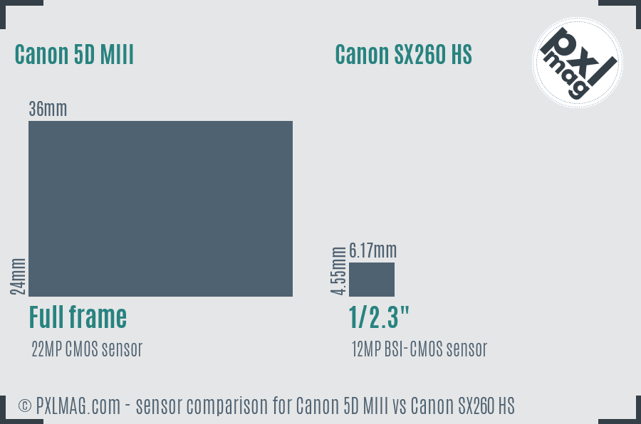 Canon 5D MIII vs Canon SX260 HS sensor size comparison