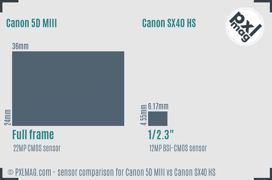 Canon 5D MIII vs Canon SX40 HS sensor size comparison