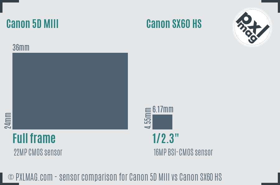 Canon 5D MIII vs Canon SX60 HS sensor size comparison