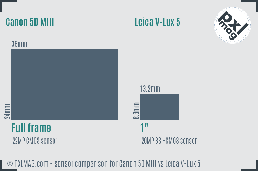 Canon 5D MIII vs Leica V-Lux 5 sensor size comparison