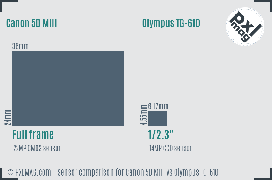 Canon 5D MIII vs Olympus TG-610 sensor size comparison