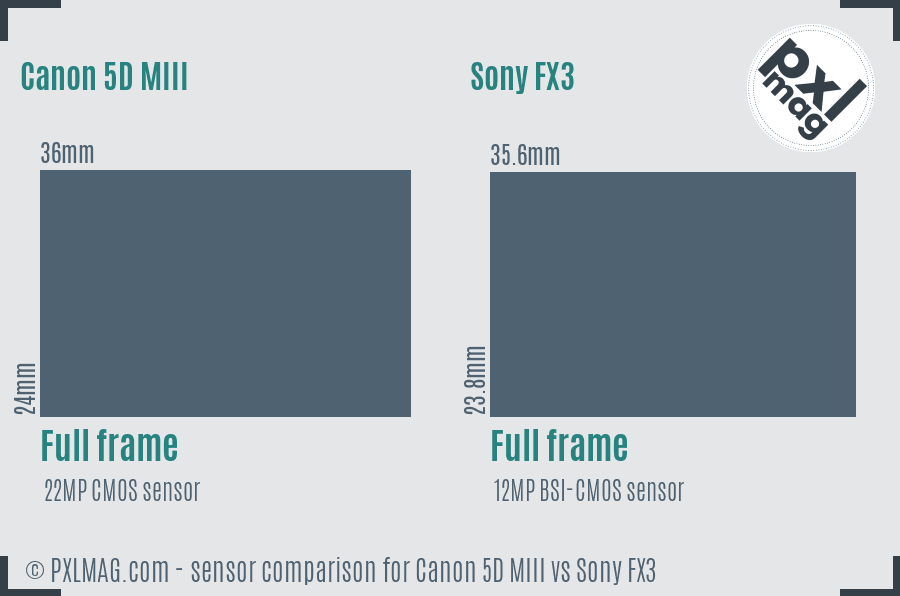 Canon 5D MIII vs Sony FX3 sensor size comparison