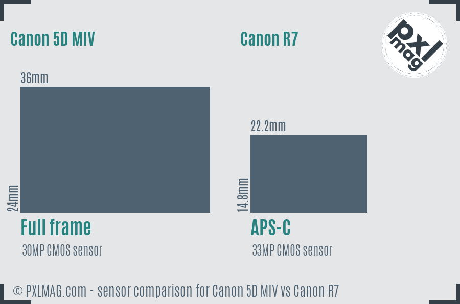 Canon 5D MIV vs Canon R7 Full Comparison - PXLMAG.com