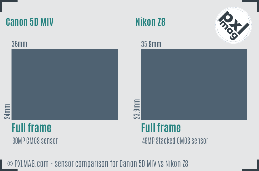 Canon 5D MIV vs Nikon Z8 sensor size comparison