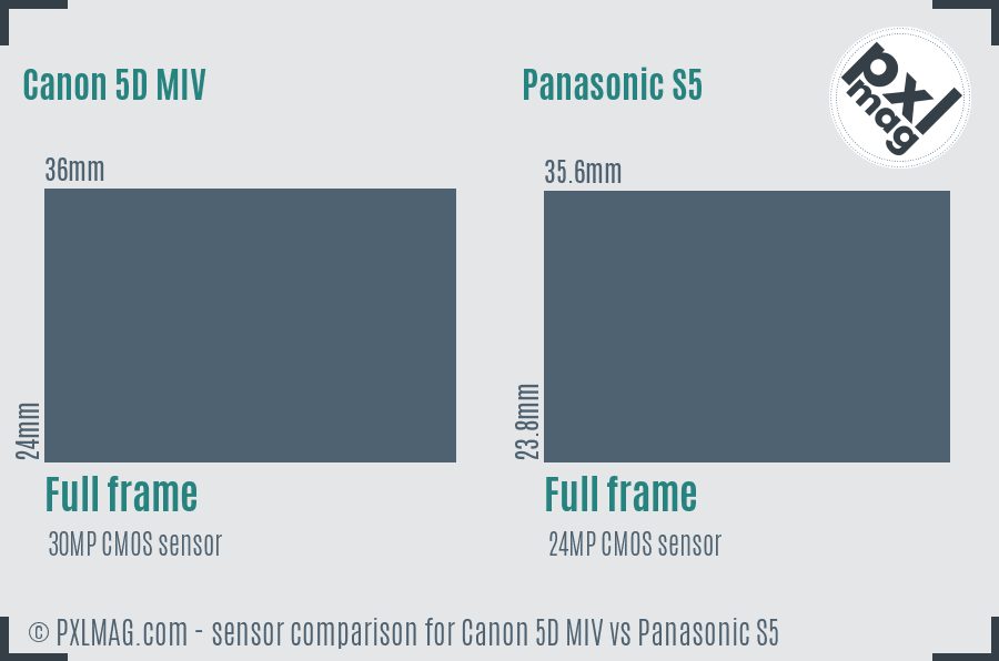 Canon 5D MIV vs Panasonic S5 sensor size comparison
