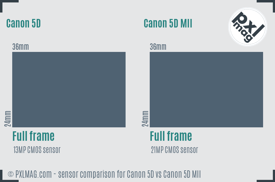 Canon 5D vs Canon 5D MII sensor size comparison