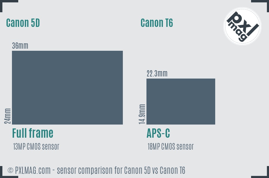 Canon 5D vs Canon T6 sensor size comparison