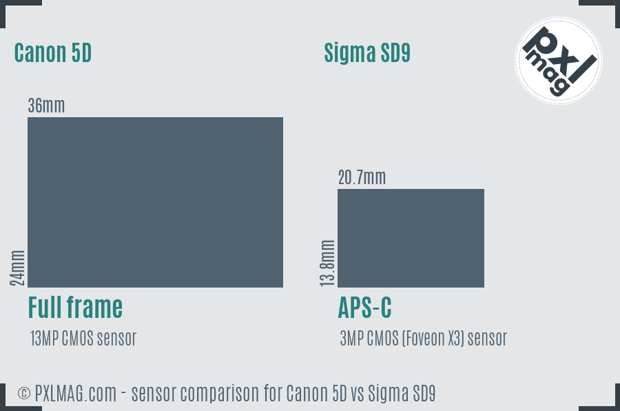 Canon 5D vs Sigma SD9 sensor size comparison