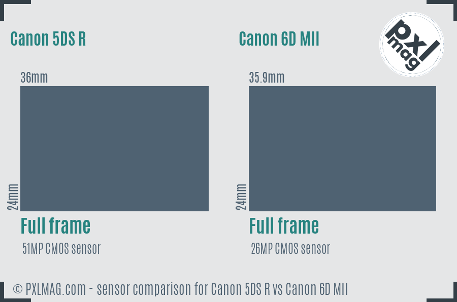 Canon 5DS R vs Canon 6D MII sensor size comparison