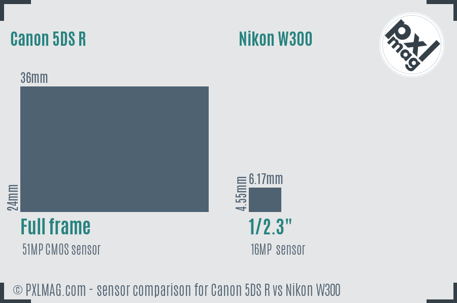 Canon 5DS R vs Nikon W300 sensor size comparison