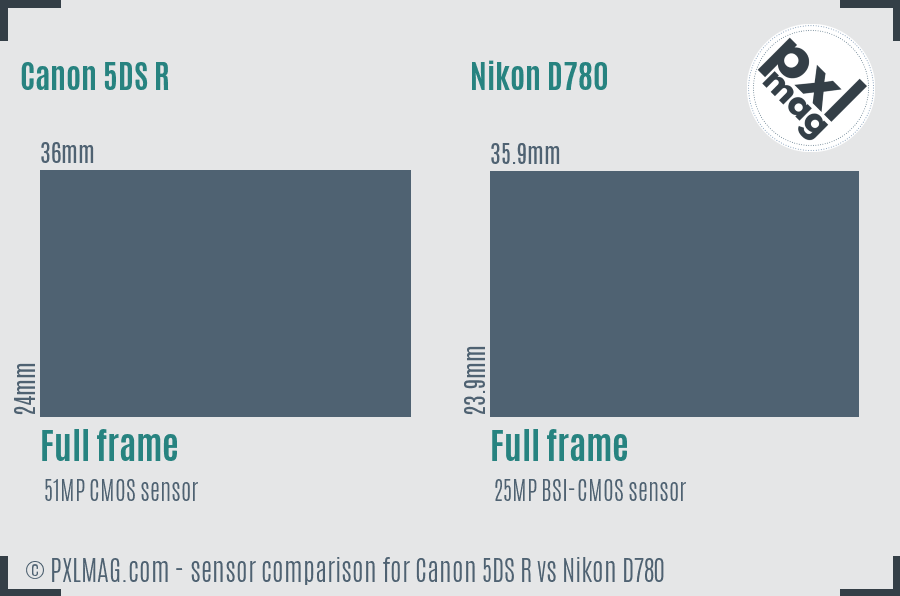 Canon 5DS R vs Nikon D780 sensor size comparison