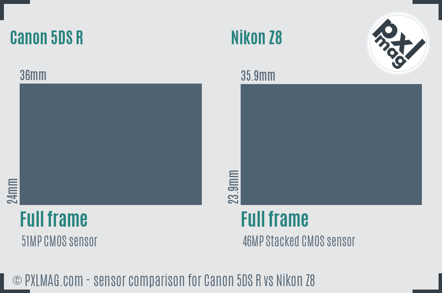 Canon 5DS R vs Nikon Z8 sensor size comparison Canon 5DS R vs Nikon Z8 sensor size comparison
