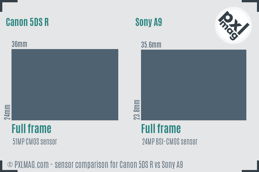 Canon 5DS R vs Sony A9 sensor size comparison