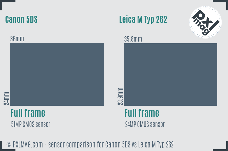 Canon 5DS vs Leica M Typ 262 sensor size comparison