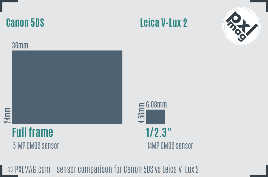 Canon 5DS vs Leica V-Lux 2 sensor size comparison