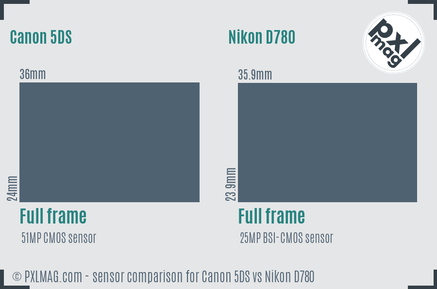 Canon 5DS vs Nikon D780 sensor size comparison