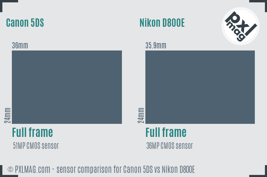 Canon 5DS vs Nikon D800E sensor size comparison Canon 5DS vs Nikon D800E sensor size comparison