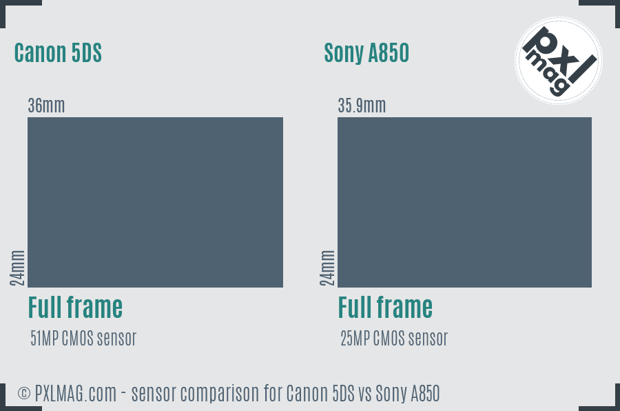 Canon 5DS vs Sony A850 sensor size comparison