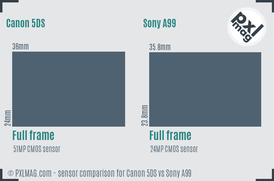 Canon 5DS vs Sony A99 sensor size comparison