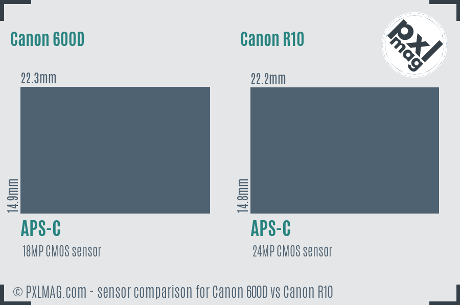 Canon 600D vs Canon R10 sensor size comparison