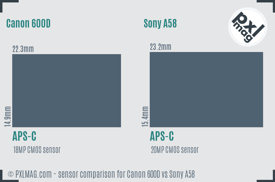 Canon 600D vs Sony A58 sensor size comparison