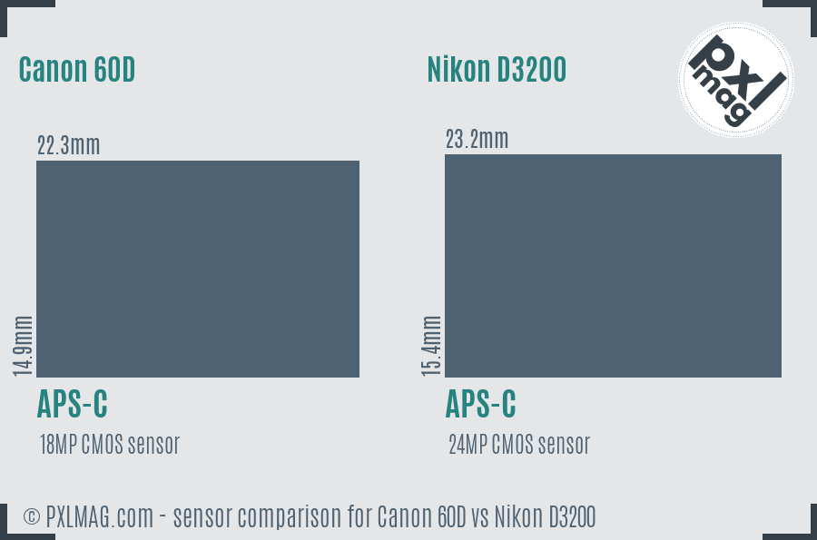 Canon 60D vs Nikon D3200 sensor size comparison