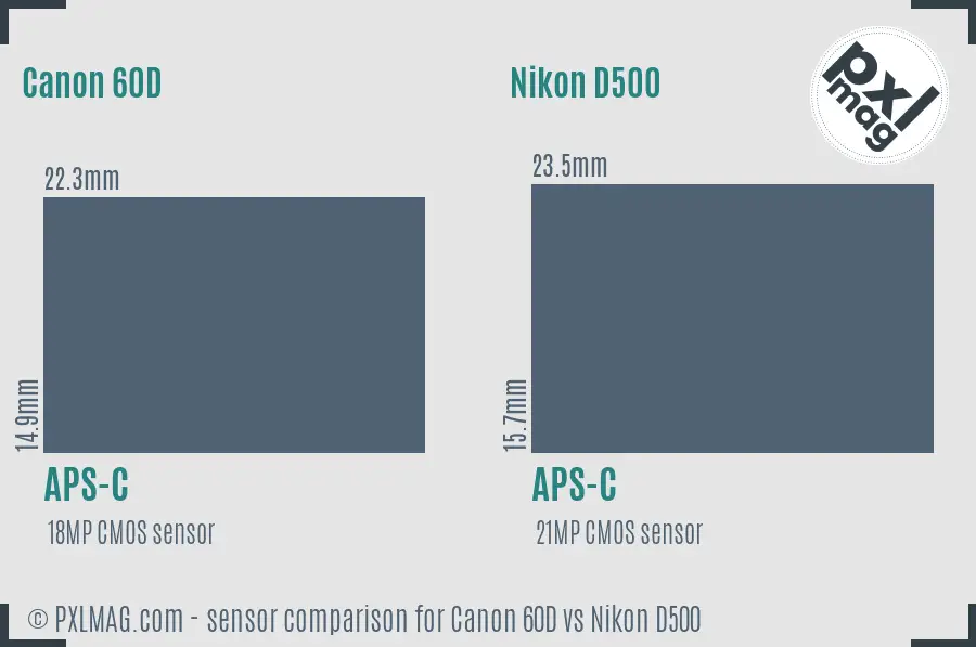 Canon 60D vs Nikon D500 sensor size comparison
