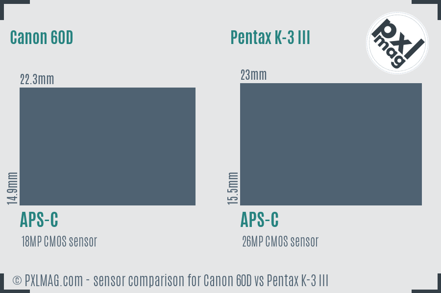Canon 60D vs Pentax K-3 III sensor size comparison