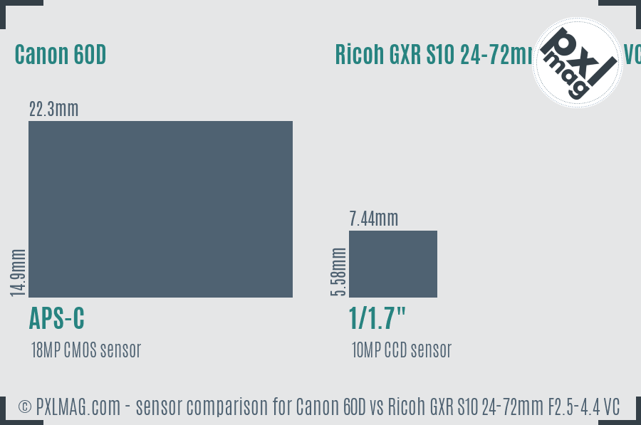 Canon 60D vs Ricoh GXR S10 24-72mm F2.5-4.4 VC sensor size comparison