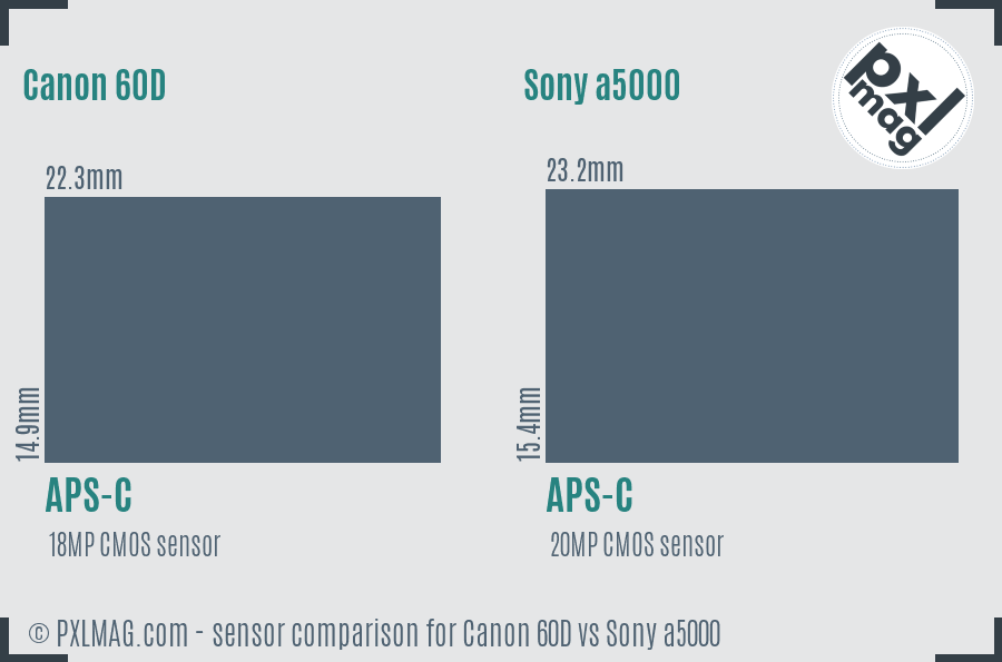 Canon 60D vs Sony a5000 sensor size comparison Canon 60D vs Sony a5000 sensor size comparison