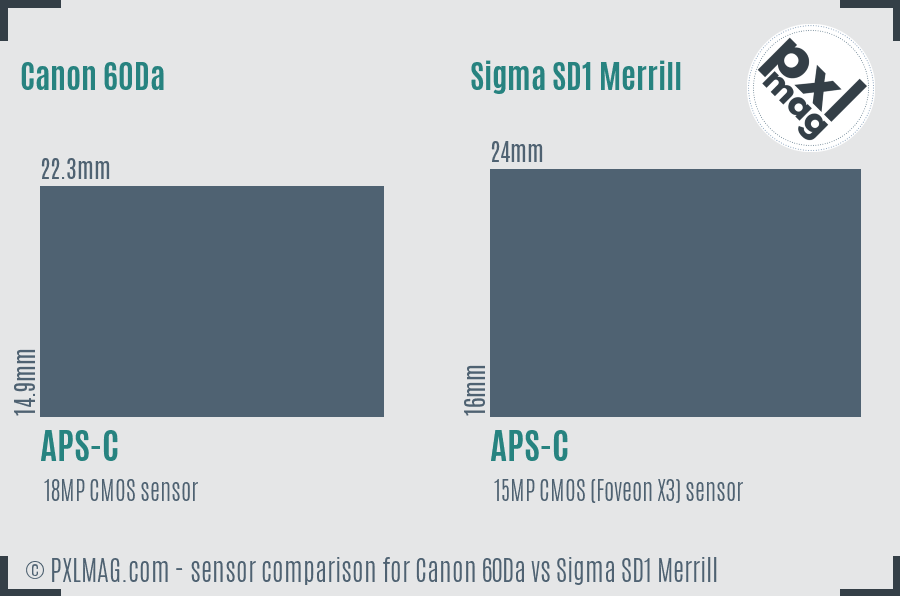 Canon 60Da vs Sigma SD1 Merrill sensor size comparison