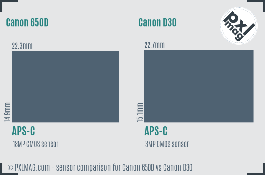 Canon 650D vs Canon D30 sensor size comparison
