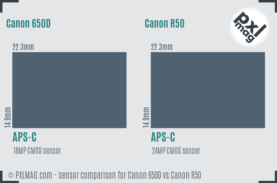 Canon 650D vs Canon R50 sensor size comparison