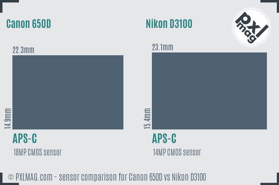 Canon 650D vs Nikon D3100 sensor size comparison