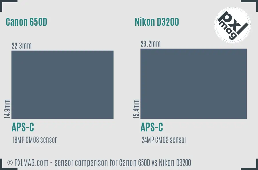 Canon 650D vs Nikon D3200 sensor size comparison