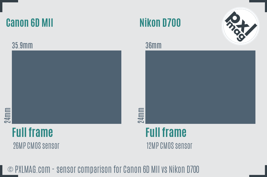 Canon 6D MII vs Nikon D700 sensor size comparison