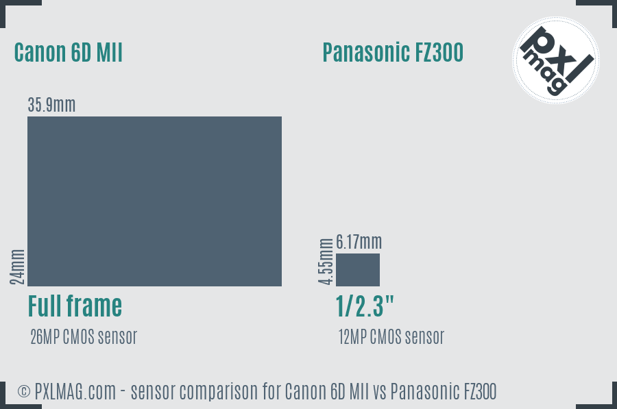 Canon 6D MII vs Panasonic FZ300 sensor size comparison