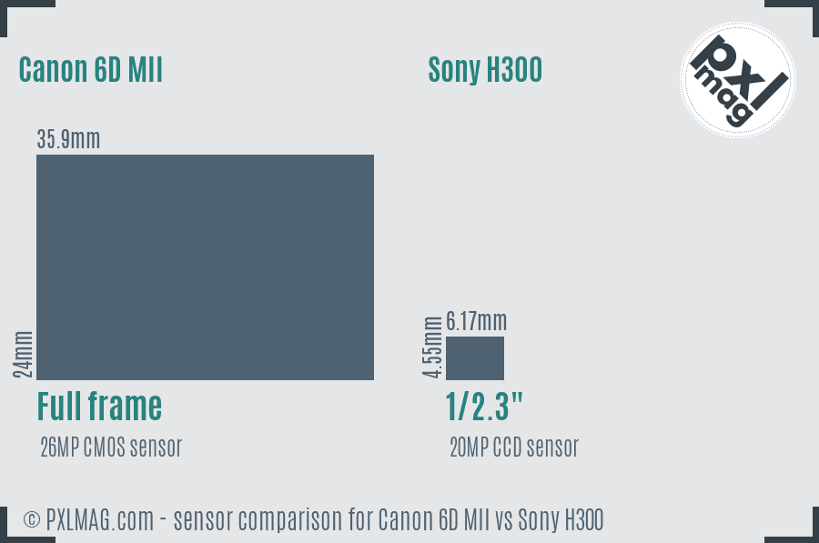 Canon 6D MII vs Sony H300 sensor size comparison