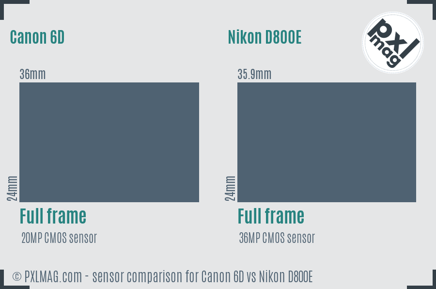Canon 6D vs Nikon D800E sensor size comparison