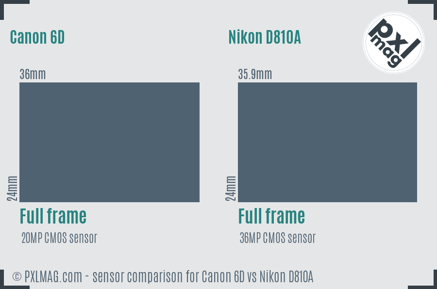 Canon 6D vs Nikon D810A sensor size comparison