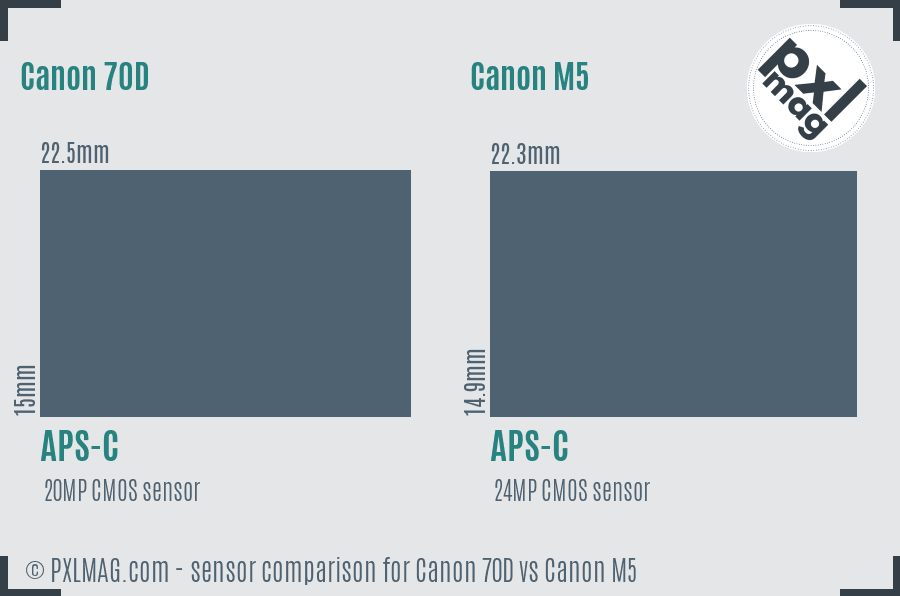 Canon 70D vs Canon M5 sensor size comparison Canon 70D vs Canon M5 sensor size comparison